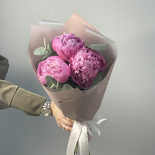 Букет из 3 ярко-розовых пионов и эвкалипта