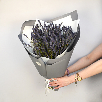 Букет лаванды L