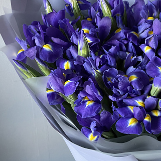 Букет из 51 ириса