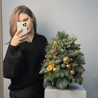 Золотая ёлочка