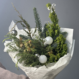 Зимний букет Сноуквин S