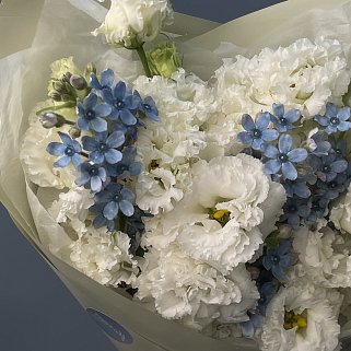 Дуо-букет эустомы и твидии M