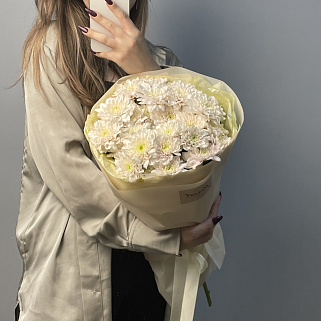 Букет из 5 кустовых хризантем Pastela Rose