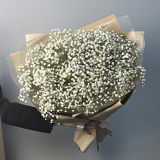 Букет из 11 веточек гипсофилы