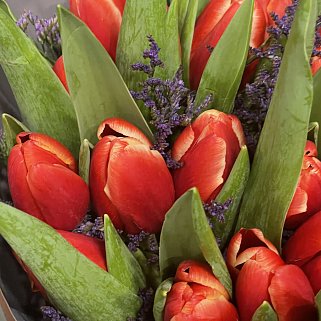 Букет из 25 красных тюльпанов с лимониумом