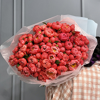 Букет из 101 пиона Coral Sunset