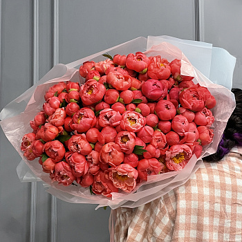 Букет из 101 пиона Coral Sunset