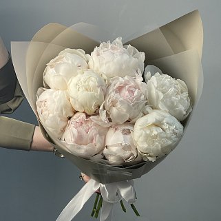 Букет из 9 белых пионов