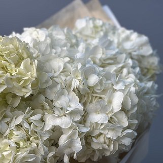 Букет из 7 белых гортензий