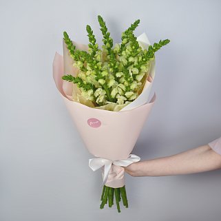 Букет из 11 антирринумов