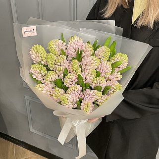 Букет из 25 розовых гиацинтов