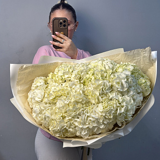 Букет из 15 белых гортензий