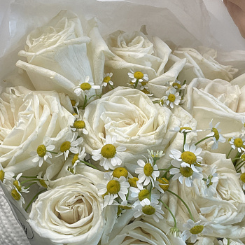 Дуо-букет роз Playa Blanca и матрикарии L