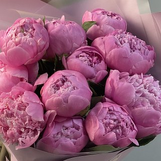 Букет из 11 ярко-розовых пионов