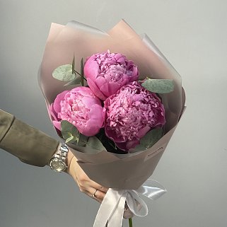 Букет из 3 ярко-розовых пионов и эвкалипта
