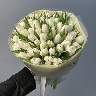 Букет из 51 белого тюльпана