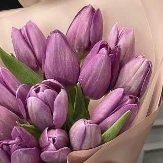 Букет из 15 фиолетовых тюльпанов