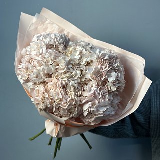 Букет из 7 розовых гортензий