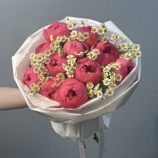 Букет из 11 пионов Coral Sunset и матрикарии