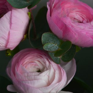 Букет из 5 ранункулюсов