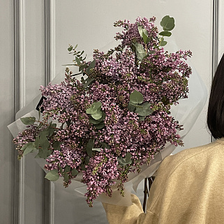 Букет из 15 веточек сирени