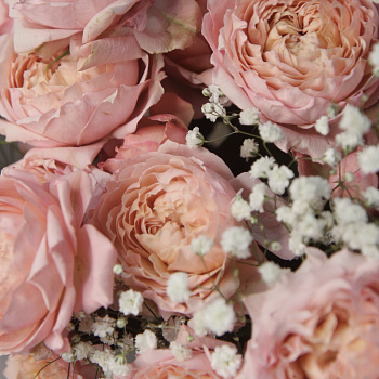 Букет пионовидных роз Juliet и гипсофилы