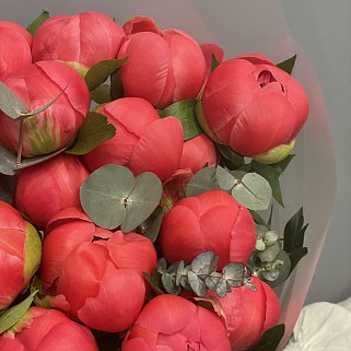 Букет из 35 пионов Coral Sunset и эвкалипта
