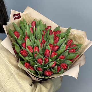 Букет из 51 красного тюльпана