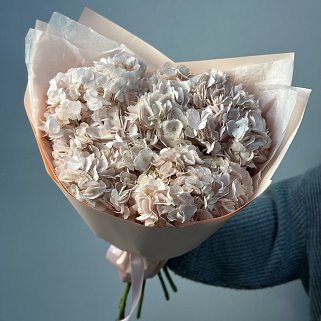 Букет из 5 розовых гортензий