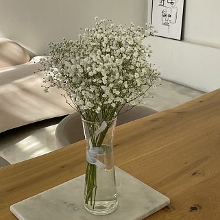 Интерьерный букет из 5 веточек гипсофилы