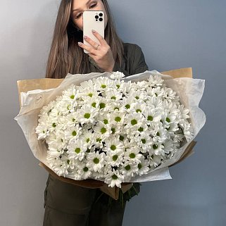 Букет из 25 белых кустовых хризантем Bacardi