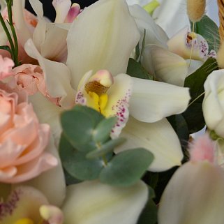 Корзина с орхидеями Белла