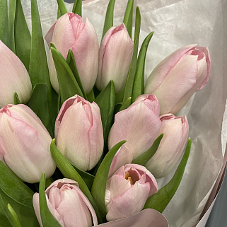 Букет из 11 розовых тюльпанов