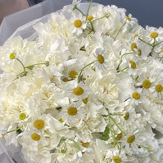 Белый дуо-букет гвоздик и матрикарий M