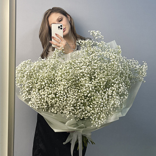 Букет из 25 веточек гипсофилы