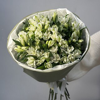 Букет из 21 белой альстромерии