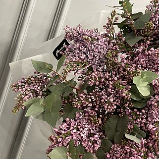 Букет из 15 веточек сирени