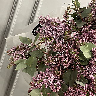 Букет из 15 веточек сирени