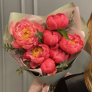 Букет из 7 пионов Coral Sunset и эвкалипта