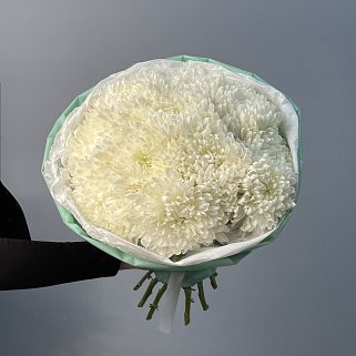 Букет из 15 белых хризантем