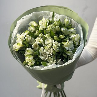 Букет из 15 белых альстромерий