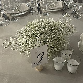 Композиция на стол гостей из гипсофилы