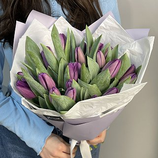 Букет из 25 фиолетовых тюльпанов