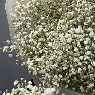 Букет из 9 веточек гипсофилы
