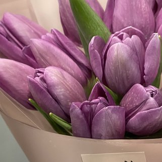 Букет из 11 фиолетовых тюльпанов