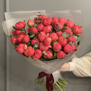 Букет из 35 пионов Coral Sunset и эвкалипта
