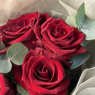 Букет из 5 роз Explorer и эвкалипта