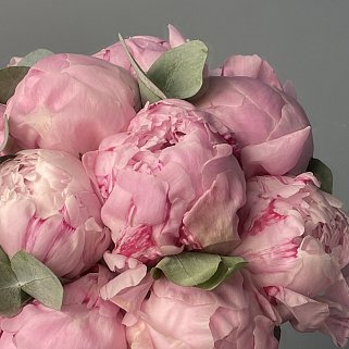 Свадебный букет невесты из 15 розовых пионов и эвкалипта