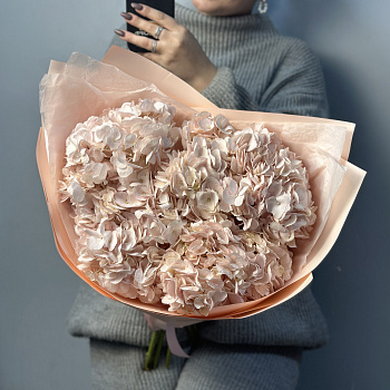 Букет из 5 розовых гортензий