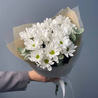 Букет из 3 кустовых хризантем Bacardi и эвкалипта